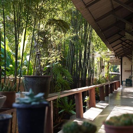 Wanmai House Apartment Chiang Mai Ngoại thất bức ảnh